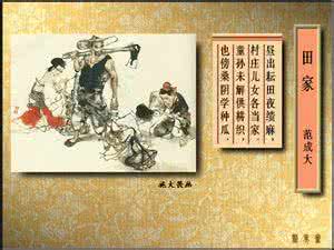 中国古诗词 郁金香篇 古诗词（家国篇）