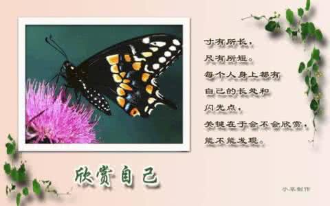 现代悦纳的致命缺点 学会悦纳完整的自己（人生感悟）