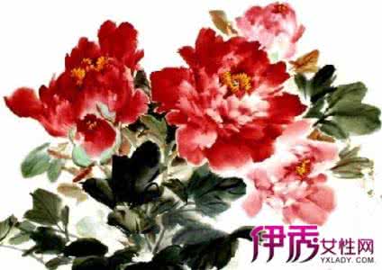 小写意牡丹花画法视频 牡丹花辦变化画法 教你画牡丹