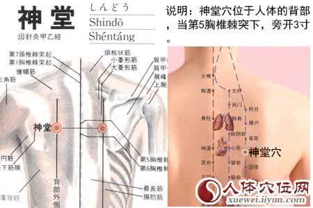 艾·穴位│小海穴：缓解治疗头痛、项强、耳鸣、癫痫