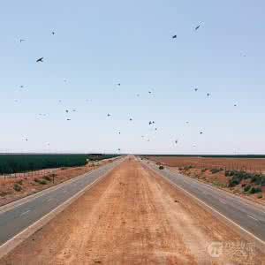 拍照构图技巧 基本的手机拍照构图技巧 让你轻松跻身高大上行列