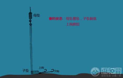 我的双坠全能钓法调漂 双坠钓组
