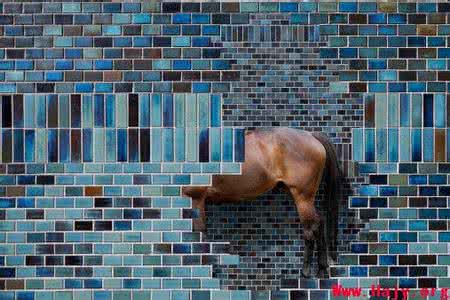 人们对心理学的误解 网络心理学：为什么人们喜欢晒秘密？