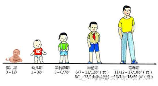 儿童生长发育特点 3 6岁儿童生长发育 3-6岁儿童的生长发育特点