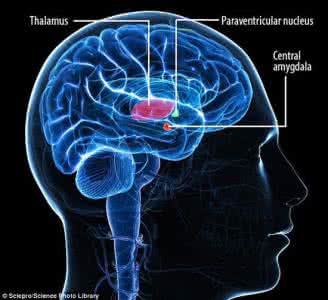 焦虑症大脑神经变化 焦虑这种情绪，你的大脑很喜欢它