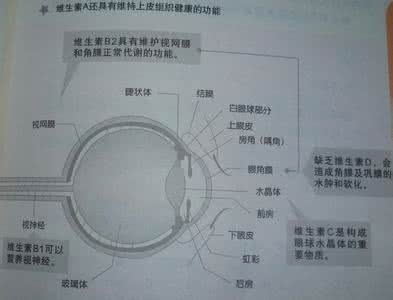 什么维生素对眼睛好 不同维生素对眼睛有什么好处？