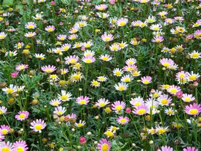 五个字令你终身不得癌