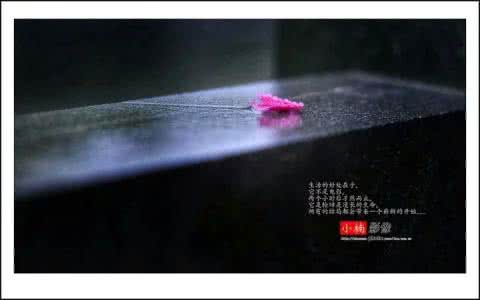 时光荏苒相近的成语 荏苒间，我们成了时光过客