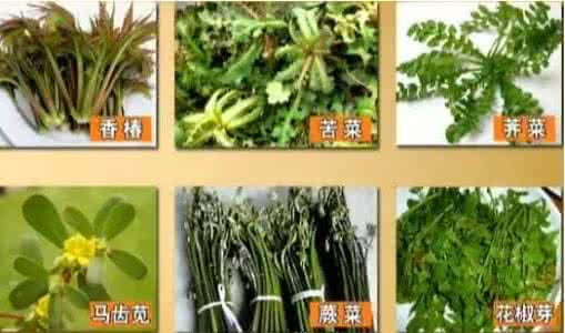 春季野菜图片大全 春季能吃的野菜大全全在这了！