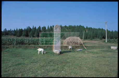 李渊是从哪里起兵的 李渊从哪里起兵 李渊的墓在哪里