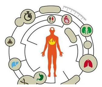 肾阴虚湿热体质的表现 身体 这些表现竟是“肾体“被透支