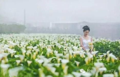 月亮天秤才是最冷血的 这才是2月最值得去的10个地方