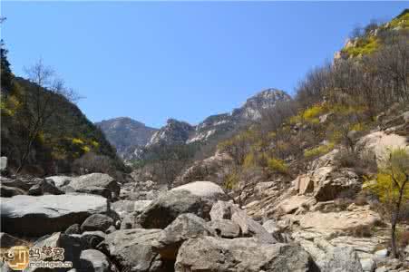北京到泰山 活成“泰山”的北京大爷(点评)