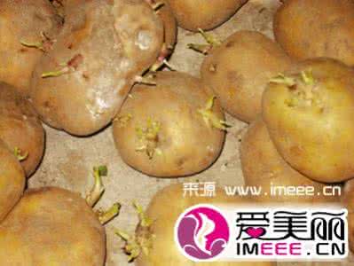 土豆发芽了还能吃吗 土豆发芽了还能吃吗 【土豆发芽了还能吃吗】发芽的土豆能吃吗