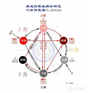 六经传变 截断法（一）六经传变