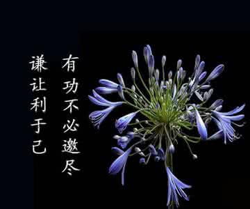 高贵的人生 人生 学会高贵的生活