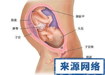 孕晚期胎动抖动是缺氧 胎儿缺氧孕妇的表现 孕晚期胎动减少的原因