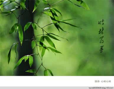 得而不喜失而不忧  得而不喜，失而不忧；静赏花落，随缘自在