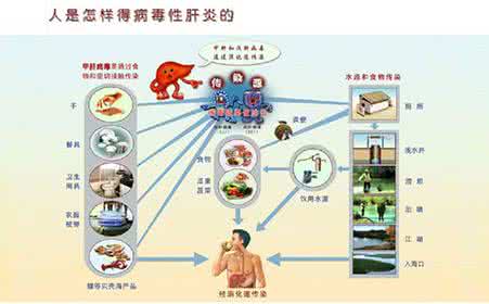甲型肝炎的传播途径 甲型肝炎的传播途径 如何预防甲型肝炎