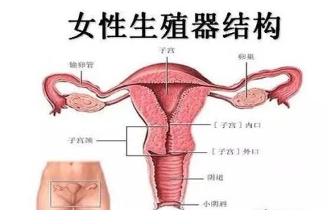 清宫手术后吃什么好 女人清宫手术视频 清宫手术后吃什么 女人清宫后吃什么恢复快