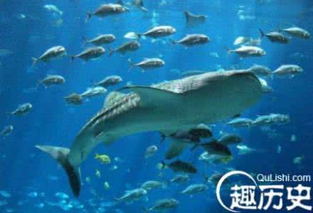 水晶宫 唐朝大宦官曾建“海底水晶宫”：宫内鱼虾轻灵游动