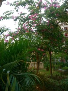 台山话 台山婆话颂