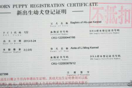 双血统是什么意思 双血统是什么意思？