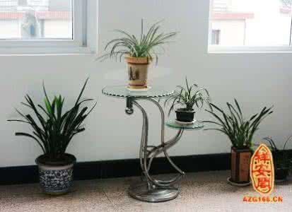 仙人掌摆放的风水讲究 仙人掌摆放的风水讲究 厨房餐具摆放风水讲究