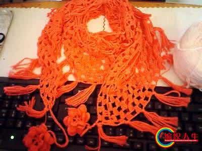 钩围巾的花样大全图解 独立深秋----钩花小围巾