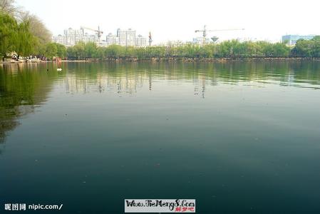 梦见河水快漫上岸了 梦见河水快漫过河提了 梦见河、过河