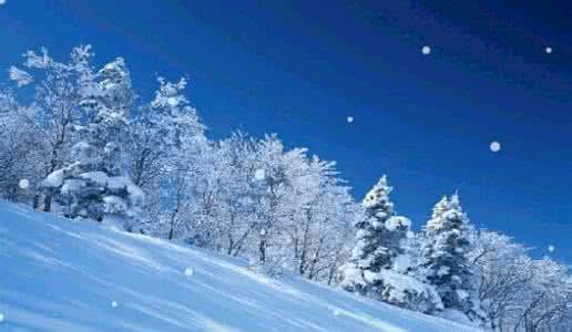 冬天的雪景作文300字 我的冬天，最后的一场雪作文700字