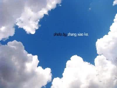 你看不到的天空 你看不到的天空 冷萌小知识，猪是看不到天空的……