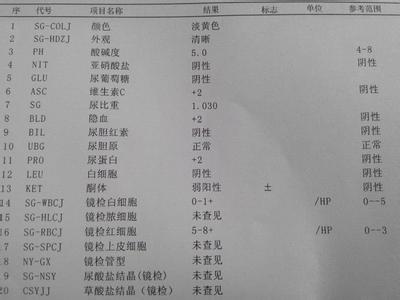 尿液检查结果分析 尿分析