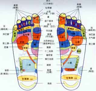 足部内侧脚踝下方疼痛 脚部穴位图解，含脚足部的所有穴位图_999穴位网