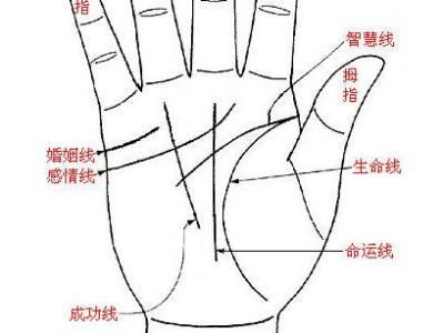 爱情运势 感情线看你爱情运势
