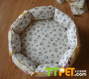 用鞋盒怎么做一个猫窝 猫窝怎么做