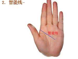 教你看手相 准的离谱 教你看手相,必看,准的离谱!看完我就傻了!!!(最全版)