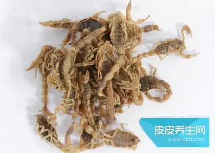 中药全蝎的副作用 全蝎的功效与作用,中药蝎子的药用价值及副作用