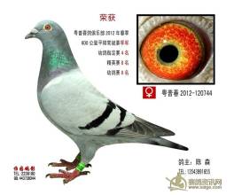 amrs颅内高潮音乐 比2012更恐怖,分分钟让你颅内高潮