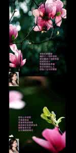 情感图文 【情感图文】◇花之情◇（八篇）