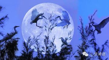 心灵的平静 写的真好！越读，心灵越平静！