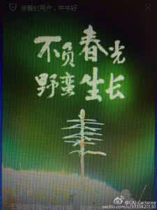 不负春光不负卿 这么美的魔都,一年只有一次!不负春光不负你!