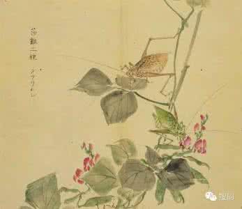 氓选自诗经中的 【鳲鸠shī jiū    选自《诗经·国风·曹风》】秦;佚名