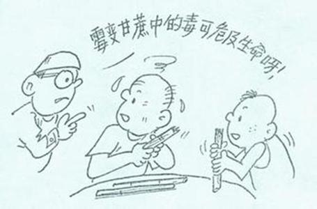 甘蔗发霉 养生新知 小心霉甘蔗中毒要人命