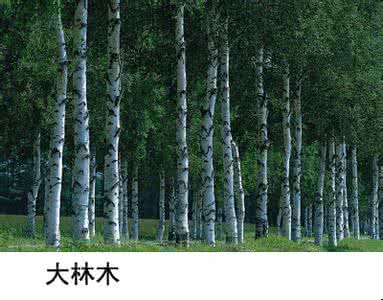 性情日 出生日看性情