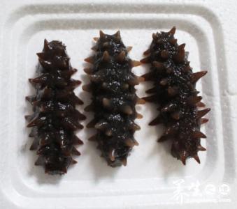即食海参什么牌子好 什么是即食海参 有何营养价值