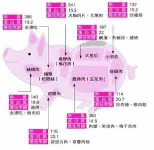 猪肉各部位吃法大不同 猪肉部位的不同吃法