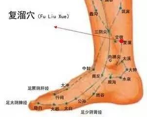 【新提醒】复溜穴补肾治脊柱痛