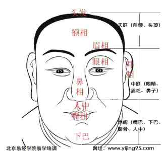 地阁方圆面相图解 地阁方圆面相图解 方口面相图解