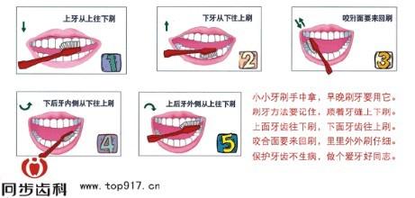 刷牙的方法和步骤图解 刷牙的正确方法图解